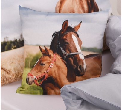 Bavlněné povlečení a povlaky EXCLUSIVE LS126 (1)